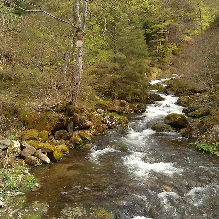 Dans A Camon (Languedoc-Roussillon)